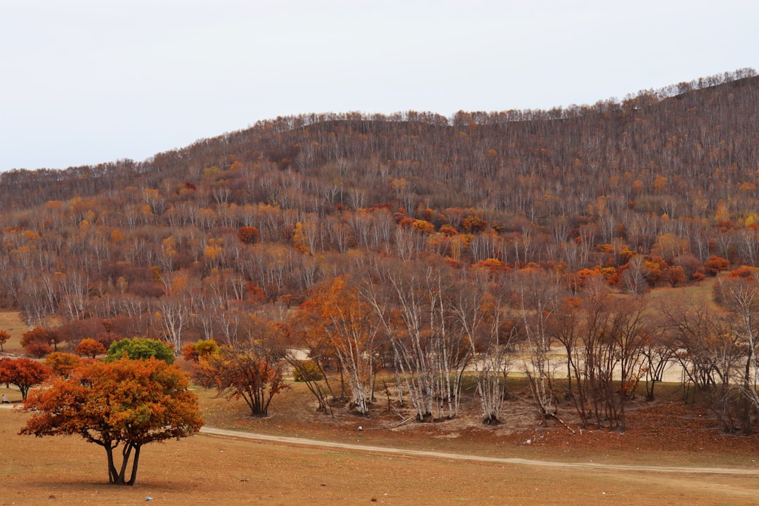 Embracing the Outdoors: A Journey of Self-Discovery